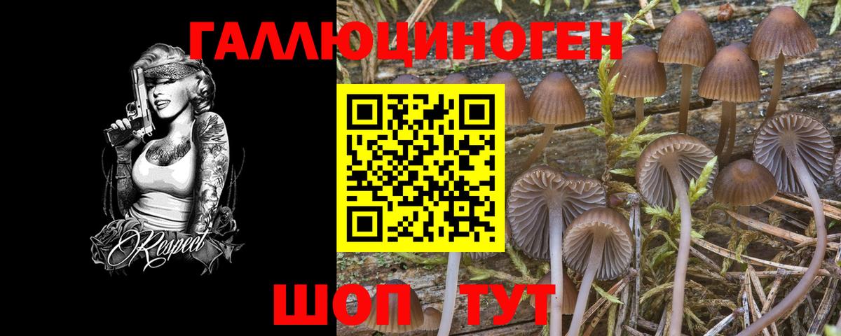 Галлюциногенные грибы MAGIC MUSHROOMS Кимры